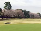 大宮ゴルフコースの画像2