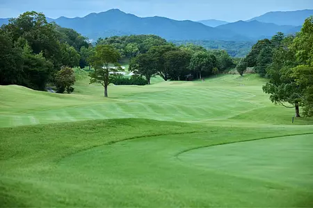 東条の森カントリークラブ6コースの画像1