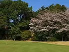 若松ゴルフ倶楽部の画像3