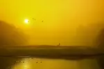 太平洋クラブ成田コースの画像3
