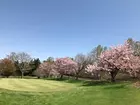 札幌南ゴルフクラブ駒丘コースの画像2