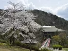大垣カントリー倶楽部の画像1